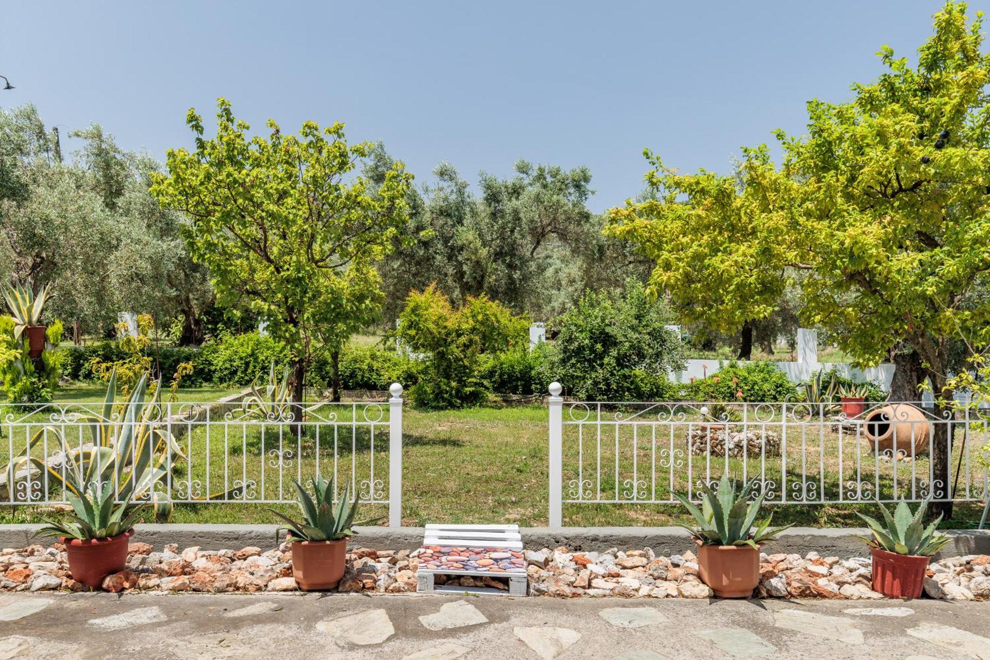 Panagou Studios Skopelos Town Bagian luar foto